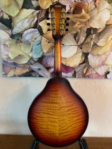 National Resophonic Mandolin