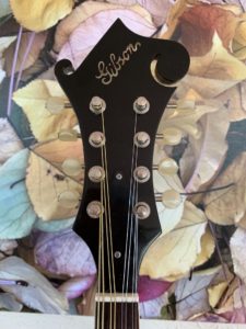 Gibson A-12 Mandolin