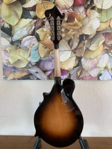Gibson A-12 Mandolin