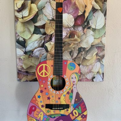 Martin Hippies Guitar