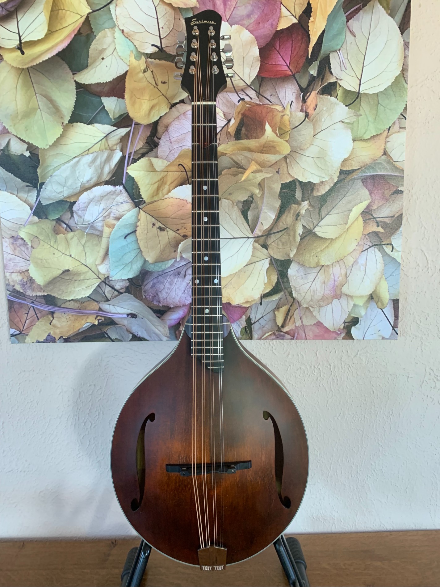 Eastman A Style Octave Mandolin