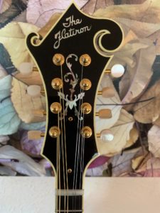 Flatiron F5 Artist Mandolin