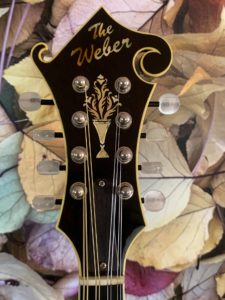Weber Yellowstone Mandolin