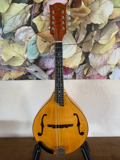 Arches A Style Mandolin