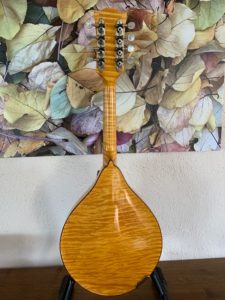 Arches A Style Mandolin