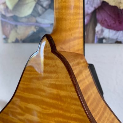 Arches A Style Mandolin