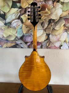 Weber Yellowstone Two Point Mandolin