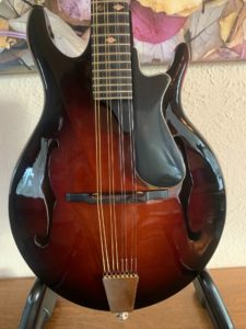 Rigel G-110 Mandolin