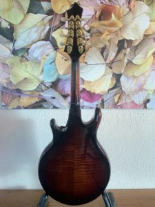 Rigel G-110 Mandolin