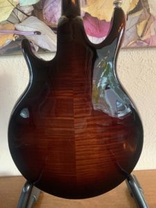 Rigel G-110 Mandolin