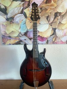 Rigel G-110 Mandolin