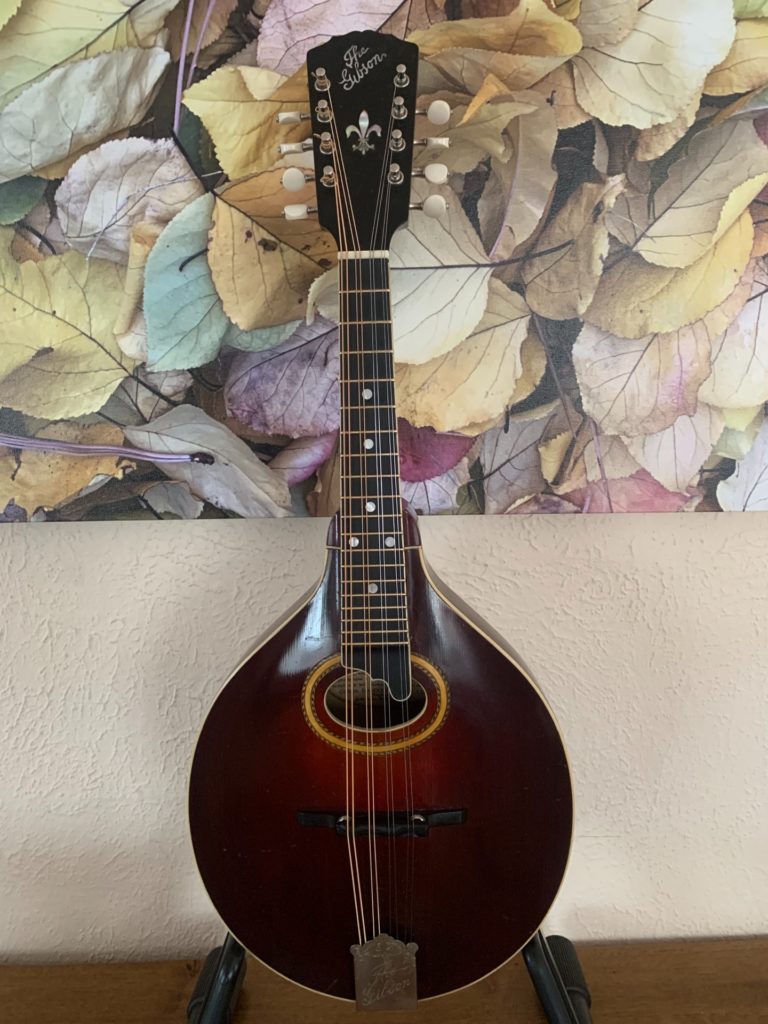 1917 Gibson A4 Mandolin