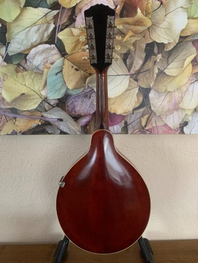 Gibson A4 1917 Mandolin