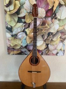 James Jones Octave Mandolin