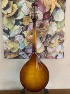 Eastman Octave Mandolin