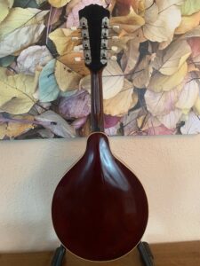 Vintage Gibson A4
