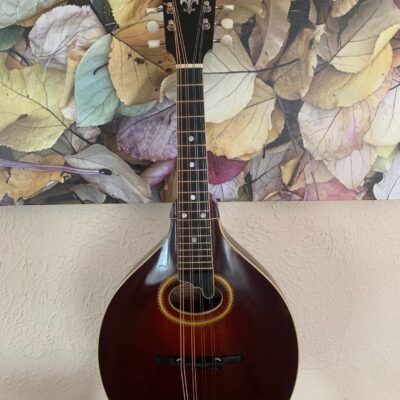 Vintage Gibson A4