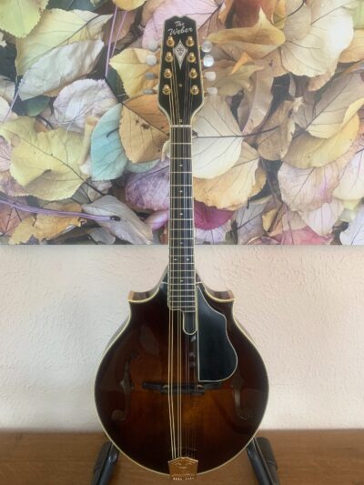 Weber Bighorn Mandolin