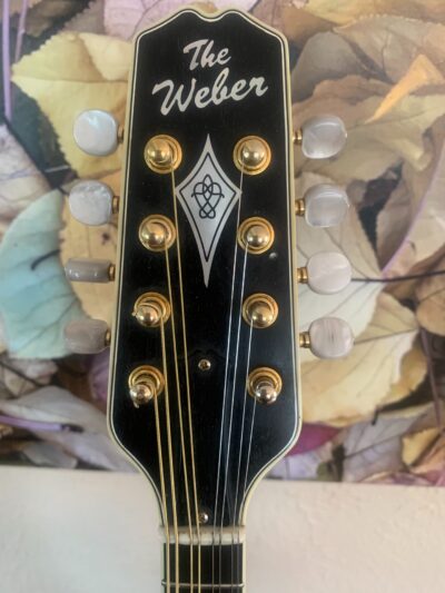Weber Bighorn Mandolin