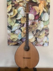 Brockman Octave Mandolin
