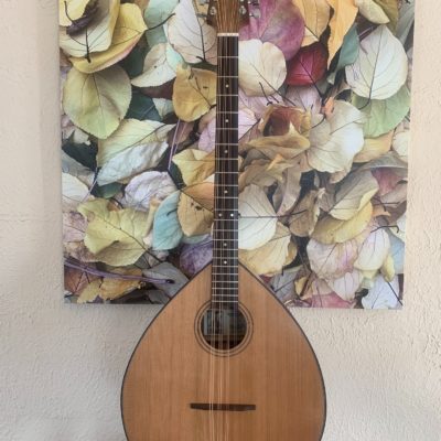 Brockman Octave Mandolin