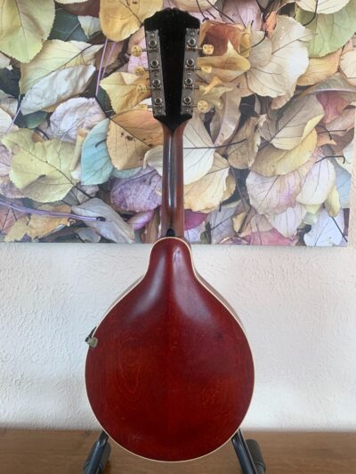 1916 Gibson A4 Mandolin