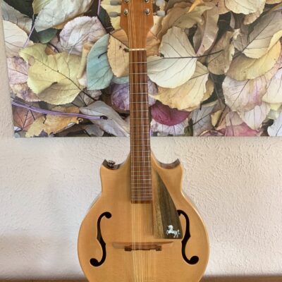 Custom Phoenix Mandolin