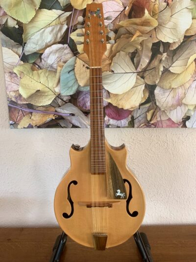 Custom Phoenix Mandolin