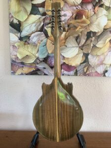 Custom Phoenix Mandolin