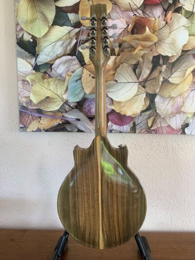 Custom Phoenix Mandolin
