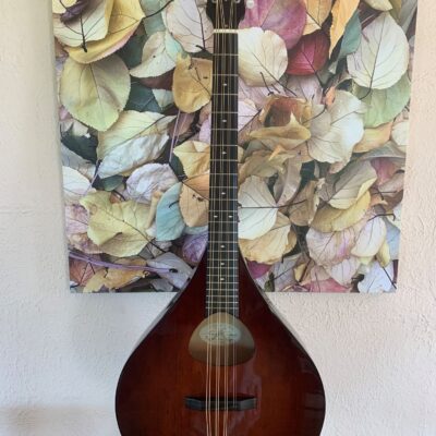 Weber Tamarack Mandocello