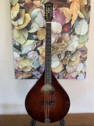 Weber Tamarack Mandocello