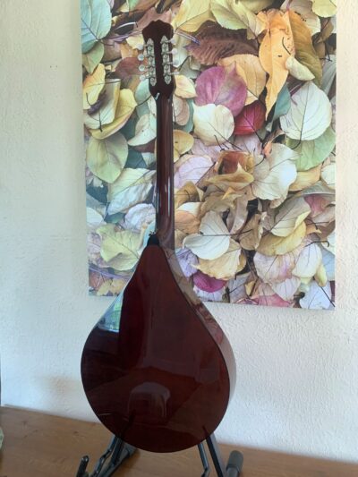 Weber Tamarack Mandocello