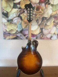 Paganoni Mandolin