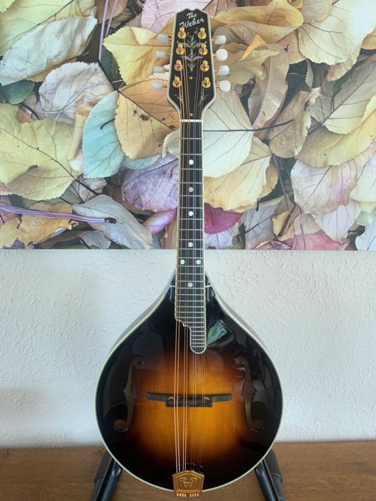 Weber Fern A Mandolin