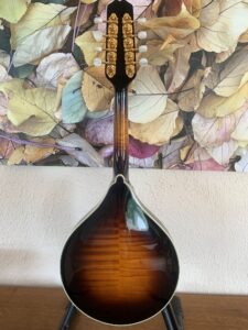 Weber Fern A Mandolin