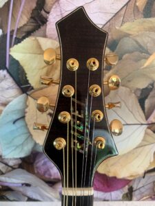 Rigel I-110 Mandolin