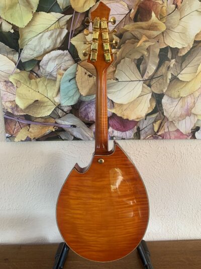Rigel I-110 Mandolin