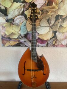 Rigel I-110 Mandolin