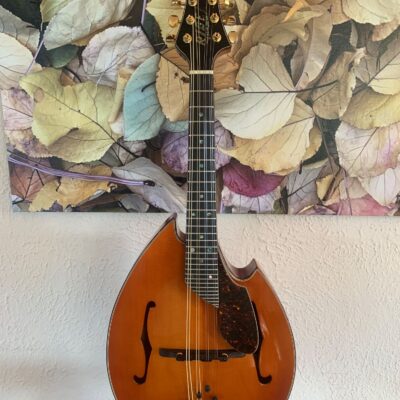 Rigel I-110 Mandolin