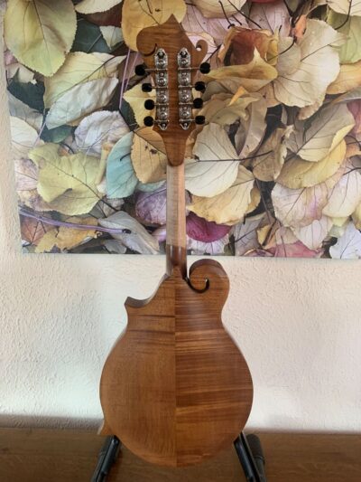 Rag Mandolin