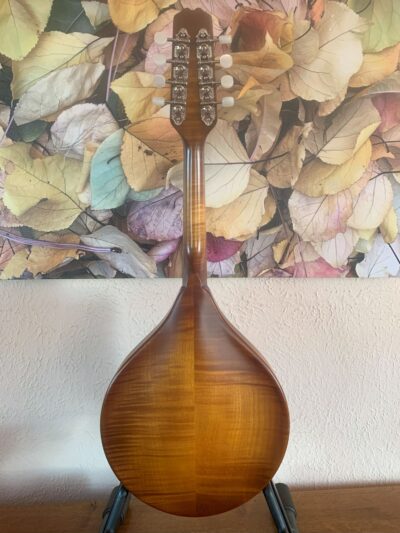 Weber Bitterroot A Mandolin
