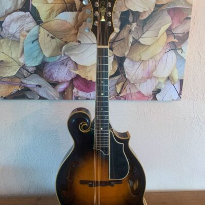 Heiden Artist F5 Mandolin