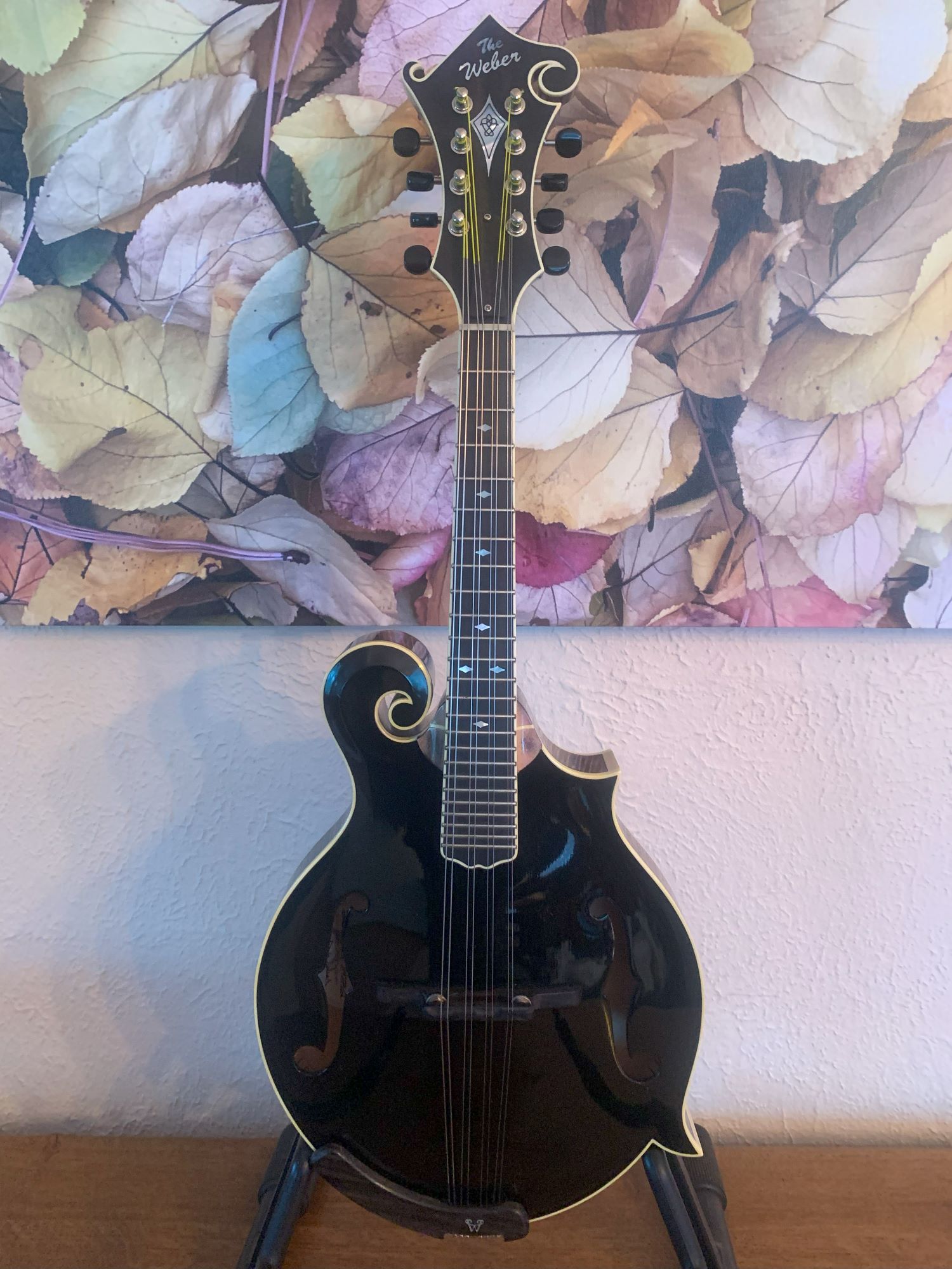 NEW PRICE Weber Black Ice F Style Mandolin