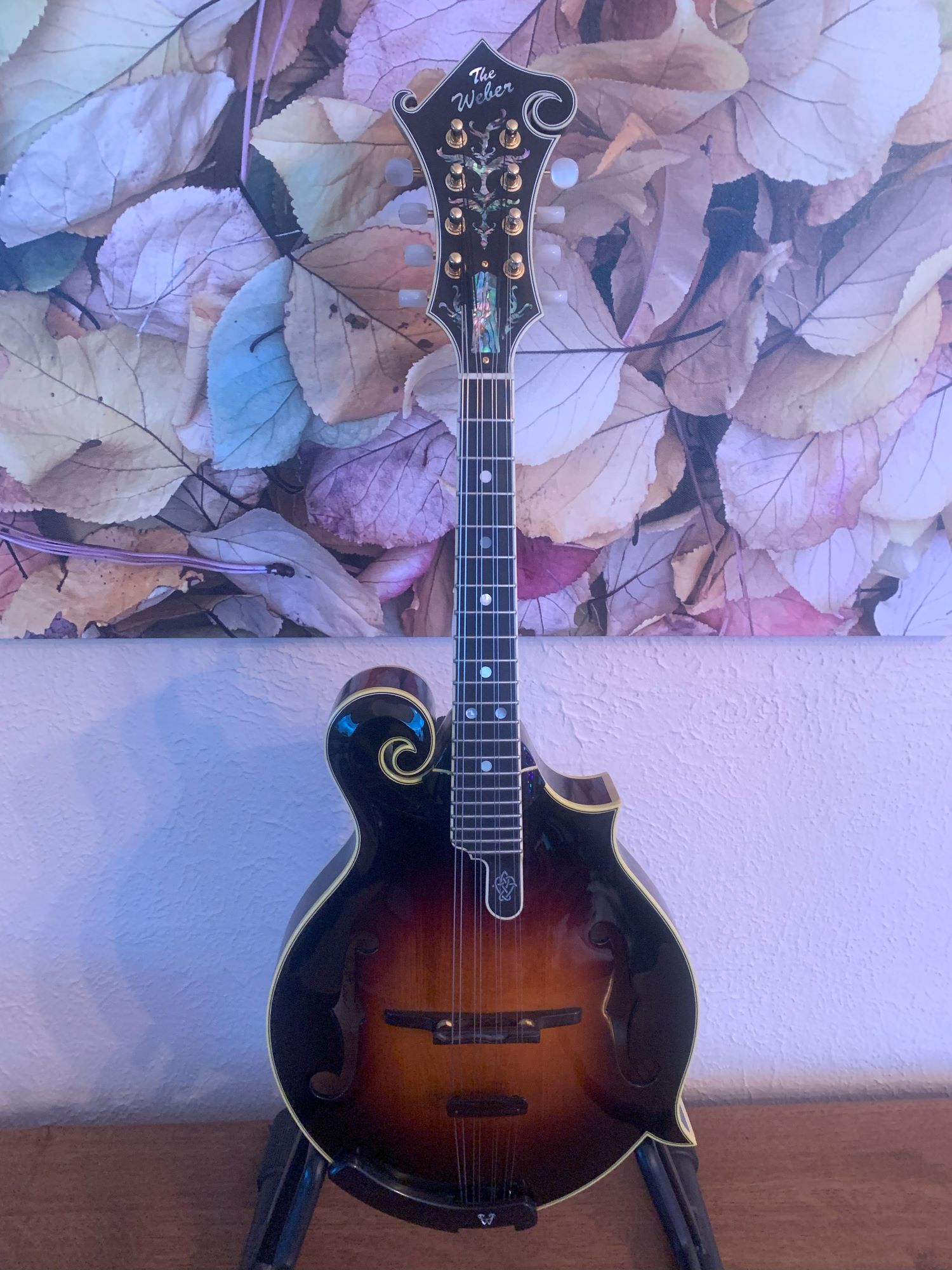 Weber Fern F Style Mandolin Mandolins Instruments For Sale
