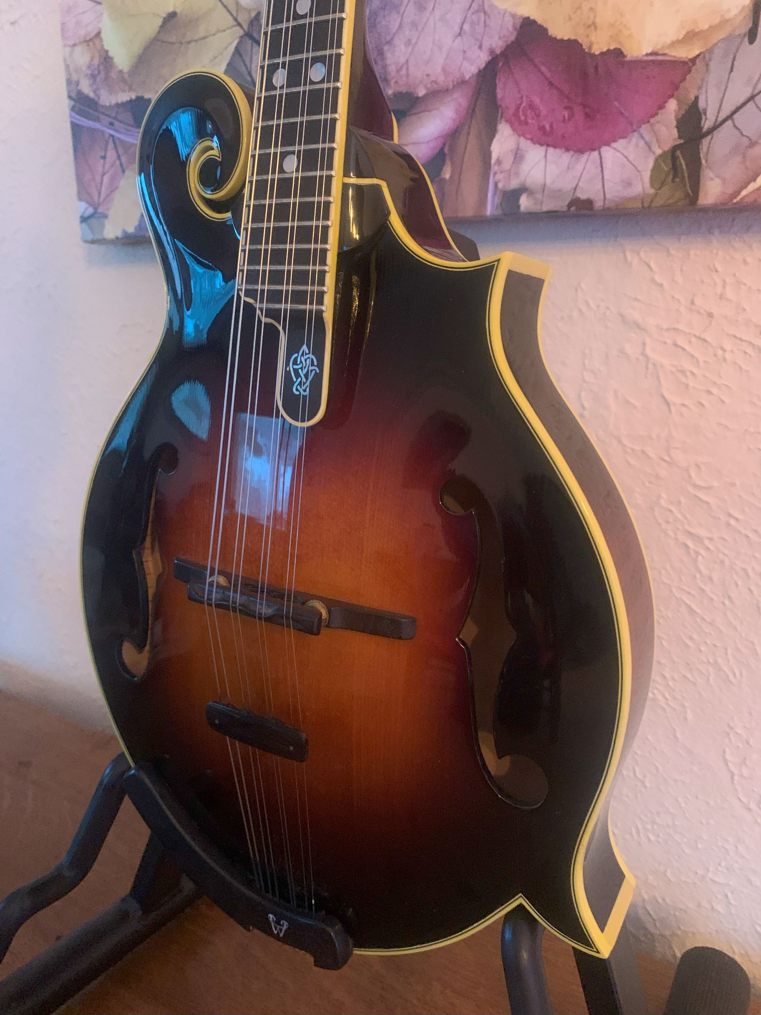 NEW PRICE er Fern FStyle Mandolin Mandolins, Instruments For Sale Montana Lutherie
