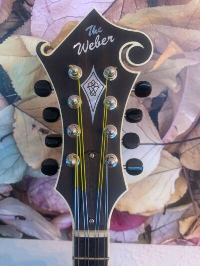 Weber Black Ice F-Style Mandolin