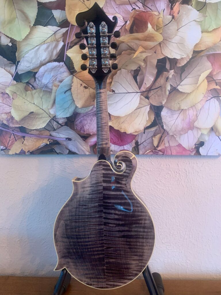 Weber Black Ice F-Style Octave Mandolin