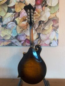 Heiden Artist F5 Mandolin