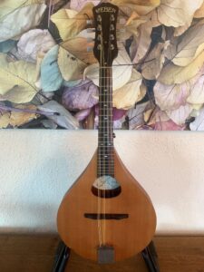Weber Y2K Mandolin